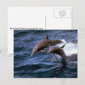 Delphin Postkarte (Vorne/Hinten)