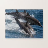 Delphin-Puzzlespiel Puzzle (Horizontal)