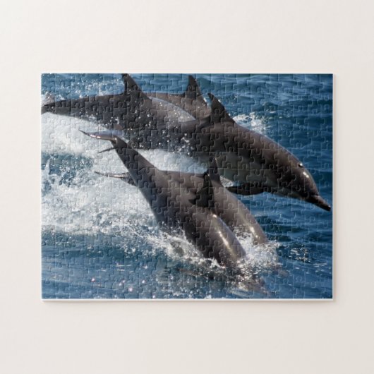 Delphin-Puzzlespiel Puzzle (Horizontal)