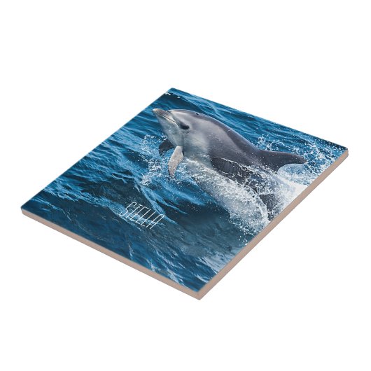 Delphin-Spritzen Fliese (Seite)