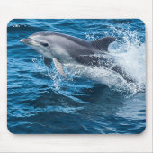 Delphin-Spritzen Mousepad (Vorne)