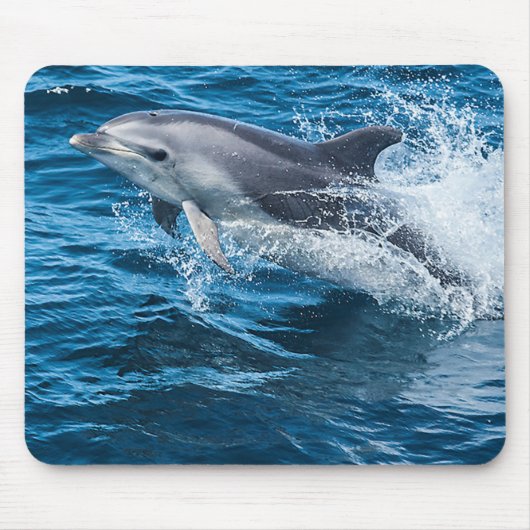 Delphin-Spritzen Mousepad (Vorne)
