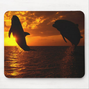 Delphin-Symphonie am Sonnenuntergang Mousepad