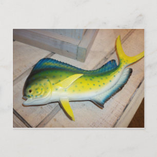 Delphin the Fish (nicht das Säugetier) Postkarte