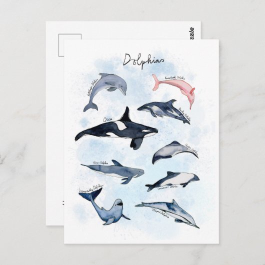 Delphin-Themenabend Kinder Aquarell zeichnend Postkarte (Vorne/Hinten)
