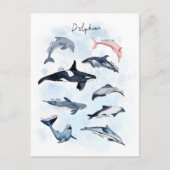Delphin-Themenabend Kinder Aquarell zeichnend Postkarte (Vorderseite)