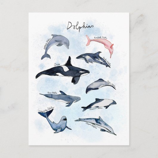 Delphin-Themenabend Kinder Aquarell zeichnend Postkarte (Vorderseite)