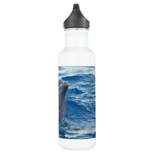 Delphin Trinkflasche (Rechts)