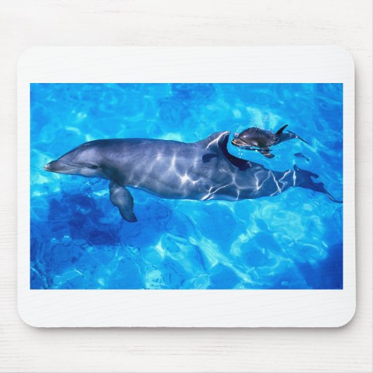 Delphin und Baby Mousepad (Vorne)