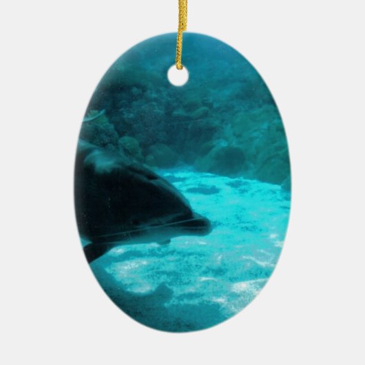Delphin unter Wasser Keramikornament (Vorne)