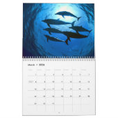 Delphin-Wandkalender Kalender (Mär 2026)