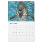 Delphin-Wandkalender Kalender (Feb 2026)