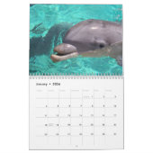 Delphin-Wandkalender Kalender (Jan 2026)