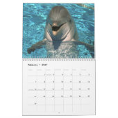 Delphin-Wandkalender Kalender (Feb 2027)