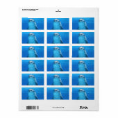 Delphin Water Beach Tropical Paradise Island Fisch Adressaufkleber (Vorne)