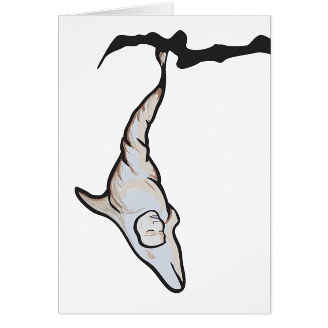 Delphincocoke (Vorne)