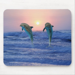 Delphine am Sonnenaufgang Mousepad