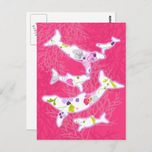 Delphine auf schlichtem rosa Hintergrund. Postkarte (Vorne/Hinten)