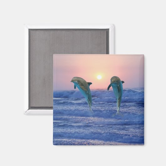 Delphine bei Sonnenaufgang Magnet (Vorderseite/Rückseite)