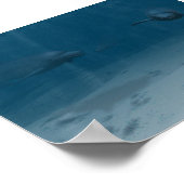 Delphine beim Spielen Poster (Ecke)