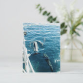 Delphine Bowride Postkarte (Stehend Vorderseite)