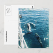 Delphine Bowride Postkarte (Vorne/Hinten)