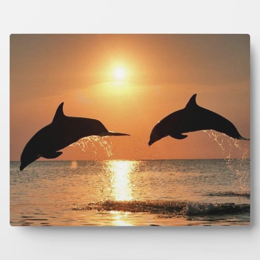 Delphine by Sunset Fotoplatte (Vorderseite)