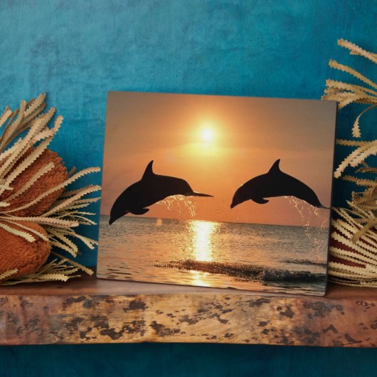 Delphine by Sunset Fotoplatte (Seite)
