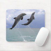 Delphine | Delfin (groberes Tuemmler) Mousepad (Mit Mouse)
