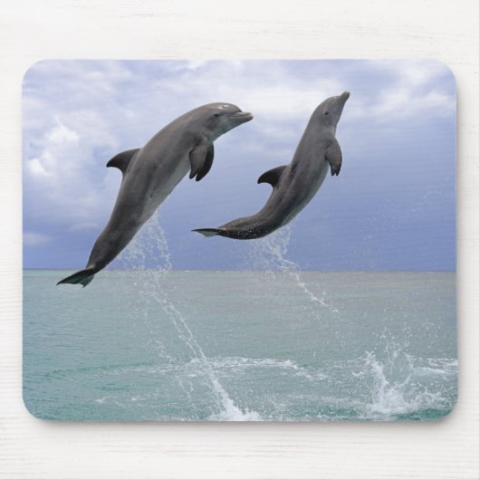 Delphine | Delfin (groberes Tuemmler) Mousepad (Vorne)