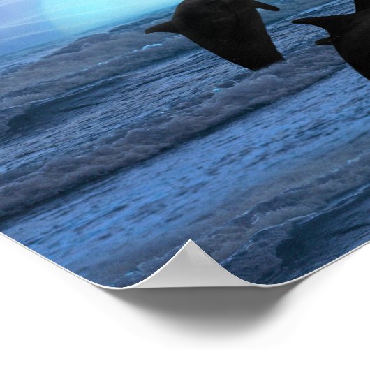 Delphine durch Mondlicht Poster (Ecke)