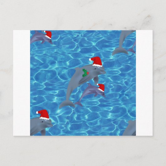 Delphine Feiertagspostkarte (Vorderseite)