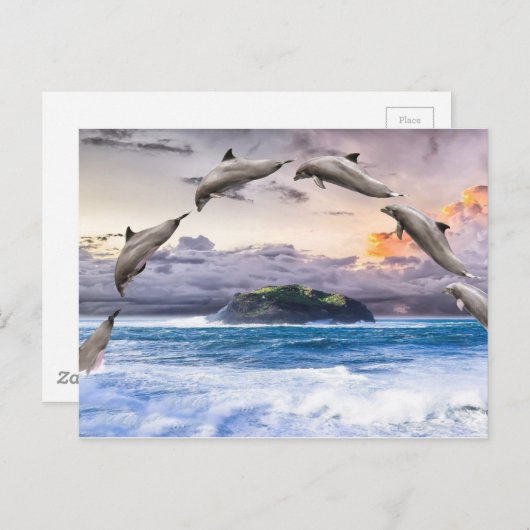 Delphine fliegen postkarte (Vorne/Hinten)