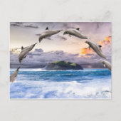 Delphine fliegen postkarte (Vorderseite)