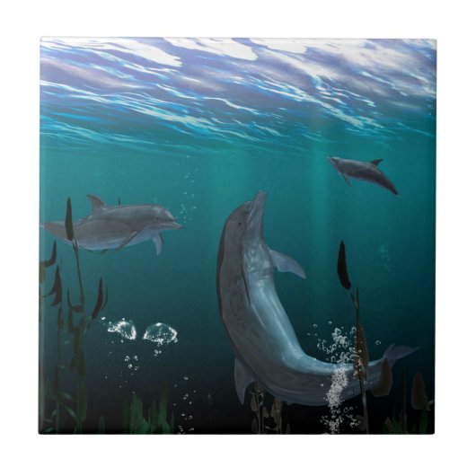 Delphine Fliese (Vorderseite)