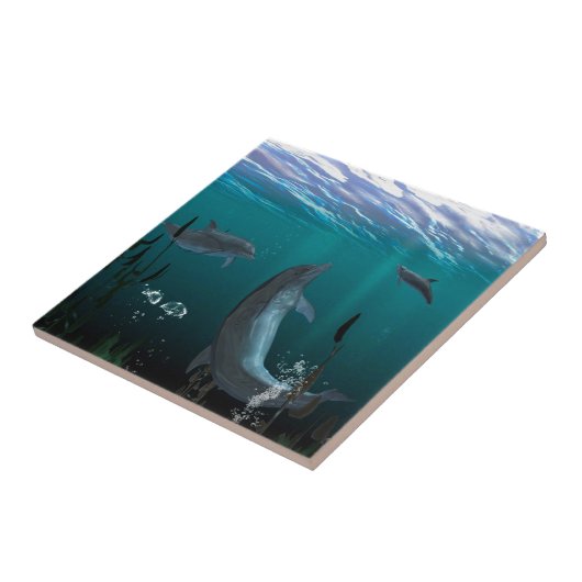 Delphine Fliese (Seite)