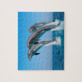 Delphine Game Puzzle (Vertikal)