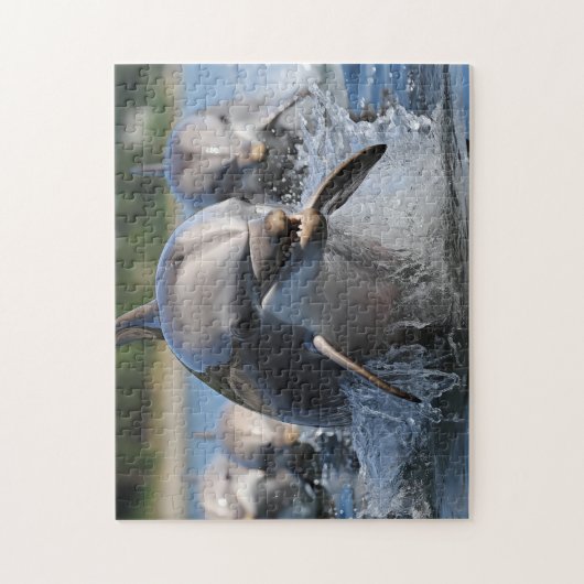 Delphine Game Puzzle (Vertikal)