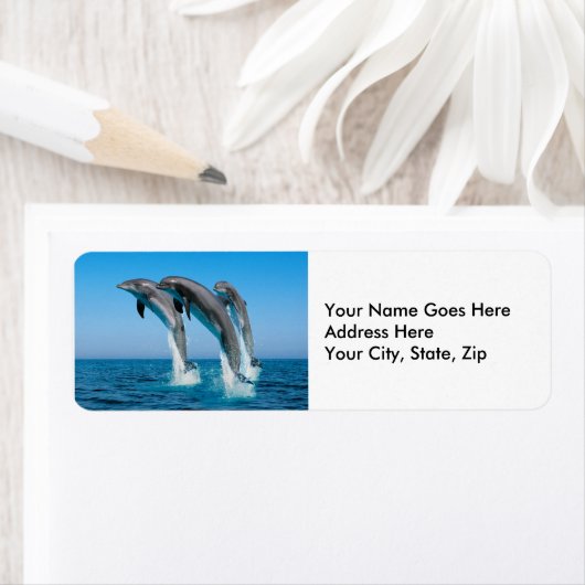 Delphine hochfahren (Insitu)