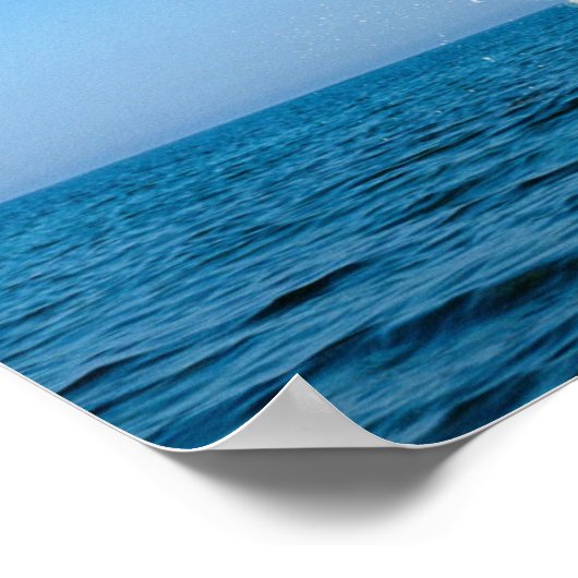 Delphine hochfahren poster (Ecke)