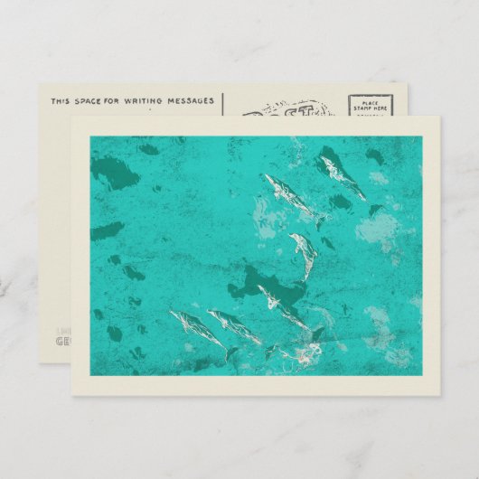 Delphine im Karibischen Meer Postkarte (Vorne/Hinten)