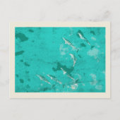 Delphine im Karibischen Meer Postkarte (Vorderseite)