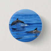 Delphine in blauem Wasser Button (Vorderseite)