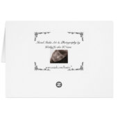 Delphine in der Nebelkarte (Rückseite Horizontal)