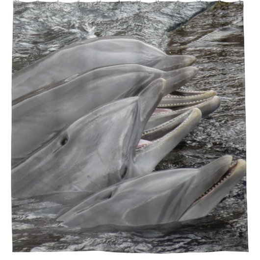 Delphine lachen duschvorhang (Vorderseite)