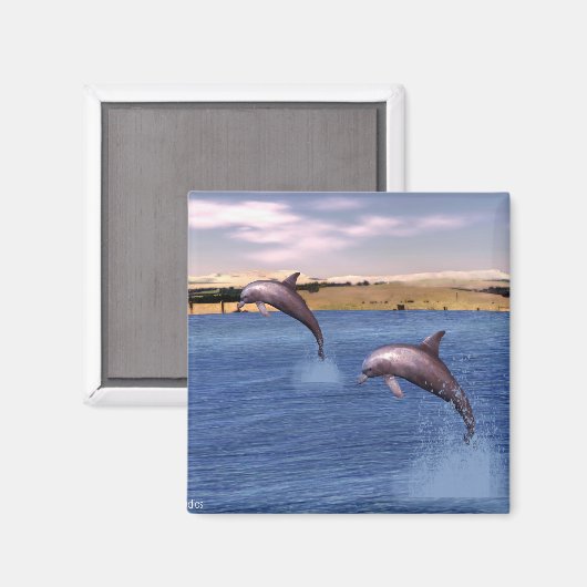 Delphine Magnet (Vorderseite/Rückseite)