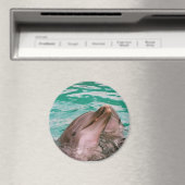 Delphine Magnet (In Situ (Geschirrspüler))