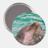 Delphine Magnet (Vorderseite/Rückseite)