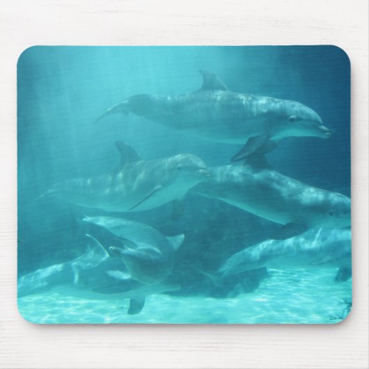 Delphine Mousepad (Vorne)