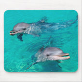 Delphine Mousepad (Vorne)